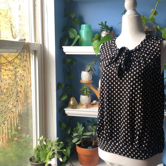 🌺Talbots sleeveless polka dot top petite top🌺 - Picture 2 of 6
